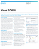 BDS_Visual_COBOL